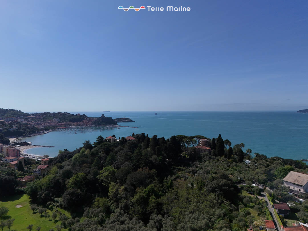 DJI_20250422110326_0005_D